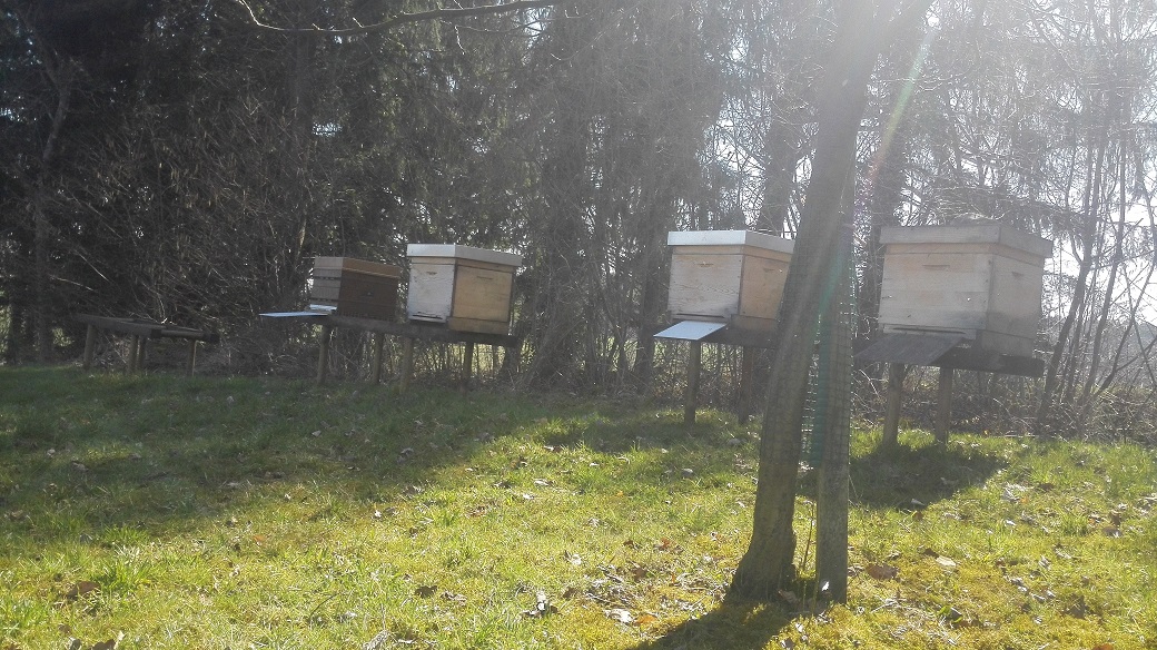 Bachsertal: Auffuhr der ersten 4 Bienenvölker